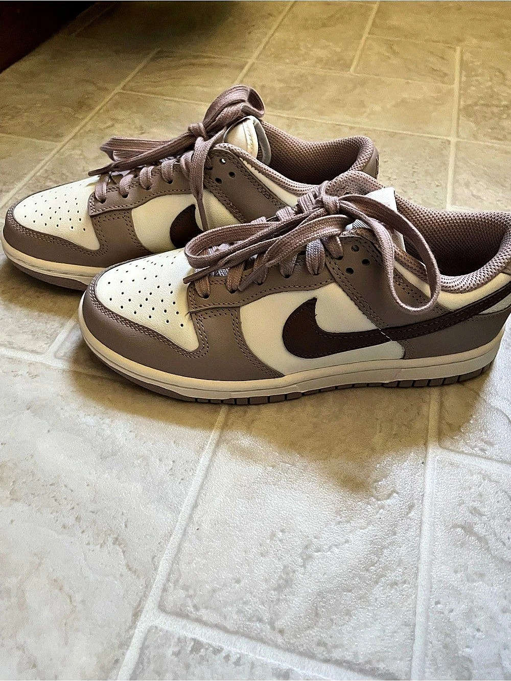 Nike Dunk Low Dark Driftwood Low Top Sneakers in Brown Pink & White